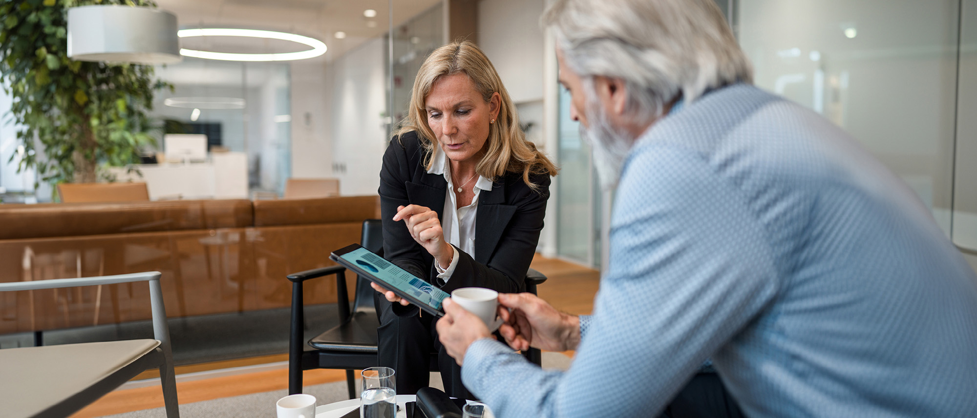 Einführung Aktiv/Passiv-Modell