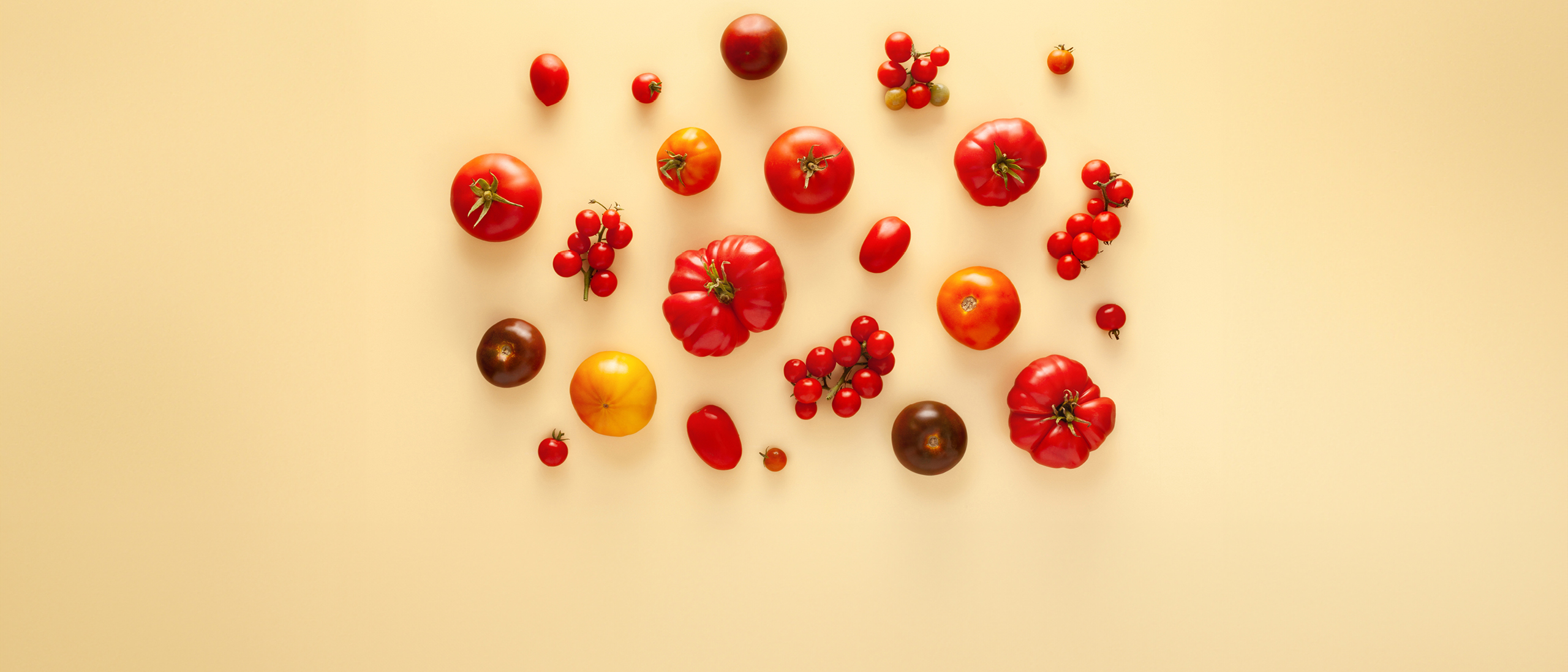 Aufbau und Erhalt eines diversifizierten Portfolios 